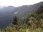 p7140236.jpg