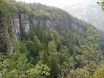 p7140245.jpg