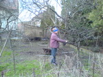 dsc00001.jpg