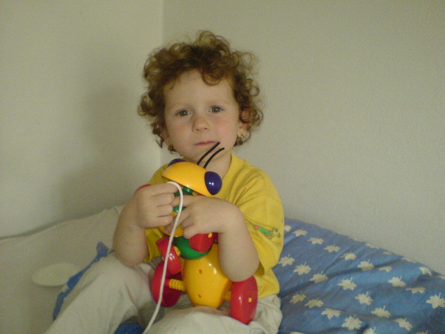 dsc00016.jpg