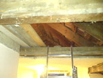 dsc00017.jpg