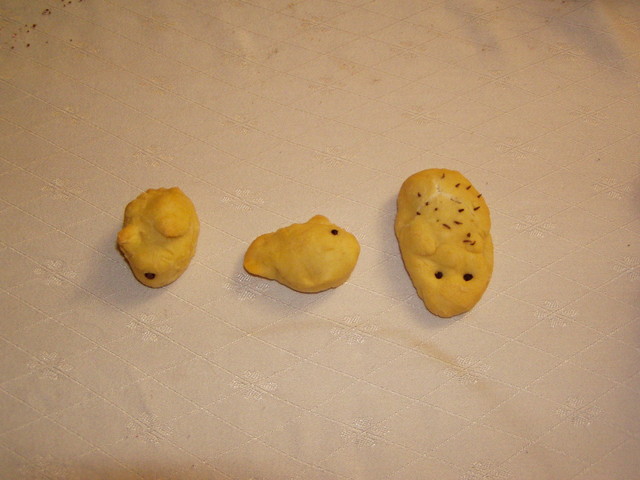 p1050327.jpg