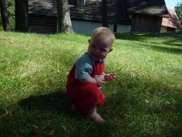 P1010238.JPG