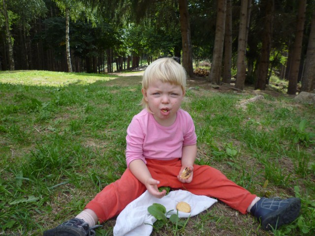 P1010251.JPG