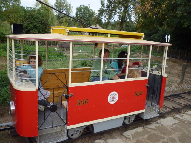 P1010288.JPG