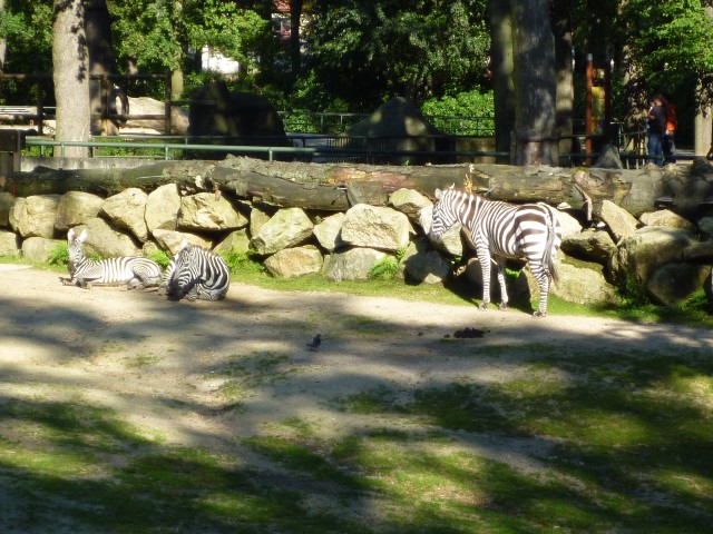 P1020868.JPG