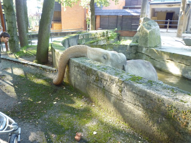 P1020876.JPG
