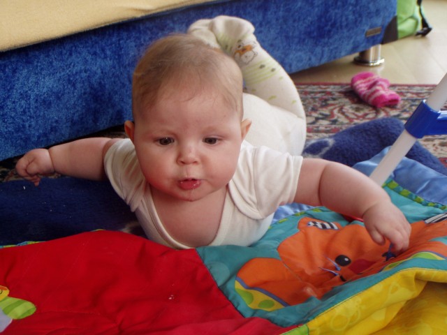 p1011179.jpg