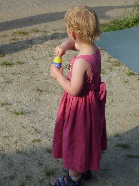 P1020491.JPG