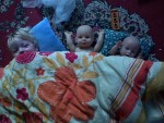 DSC00116.JPG