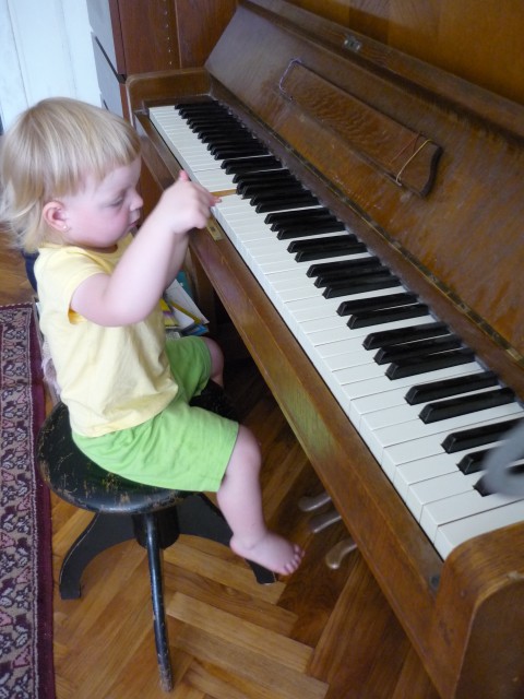 P1000527.JPG