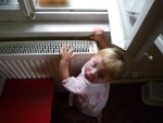 P1010004.JPG