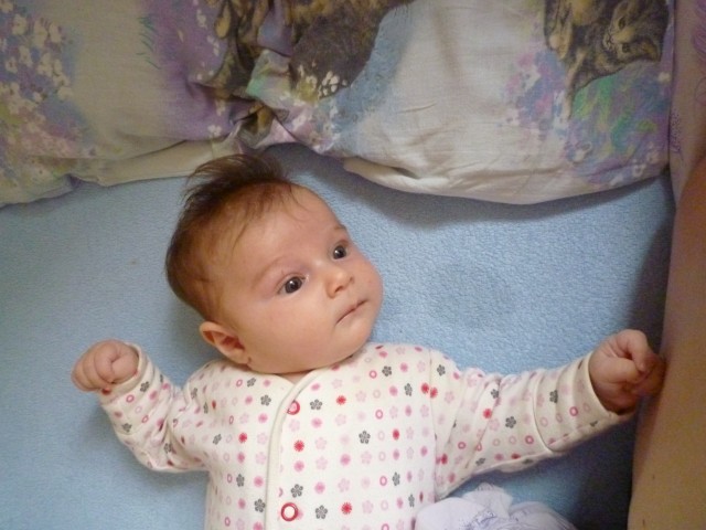 P1020740.JPG