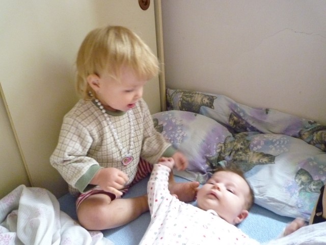 P1020746.JPG