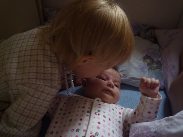 P1020747.JPG