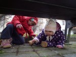 P1010566.JPG
