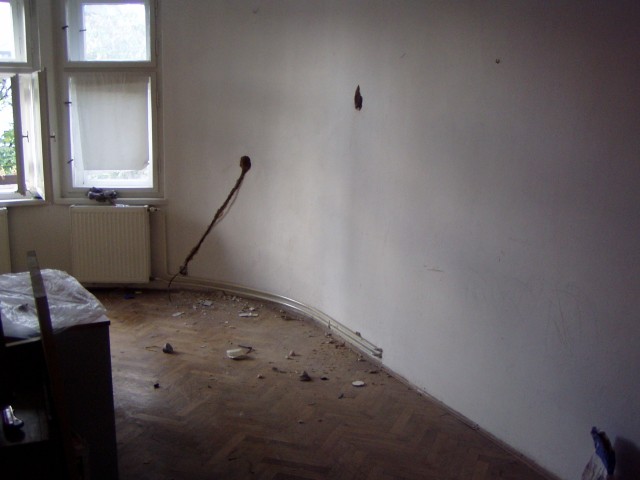 p6091406.jpg