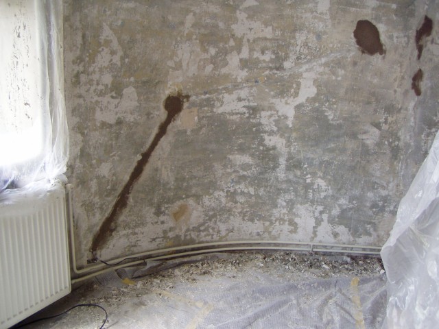 p6101445.jpg