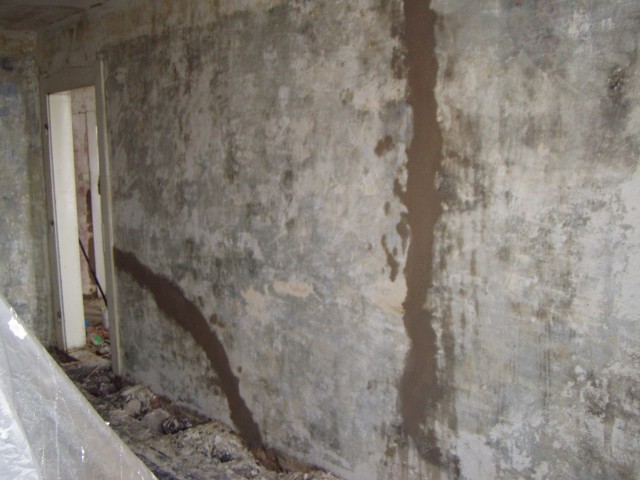 p6101446.jpg
