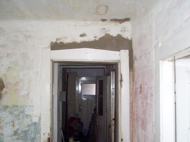 p6101448.jpg