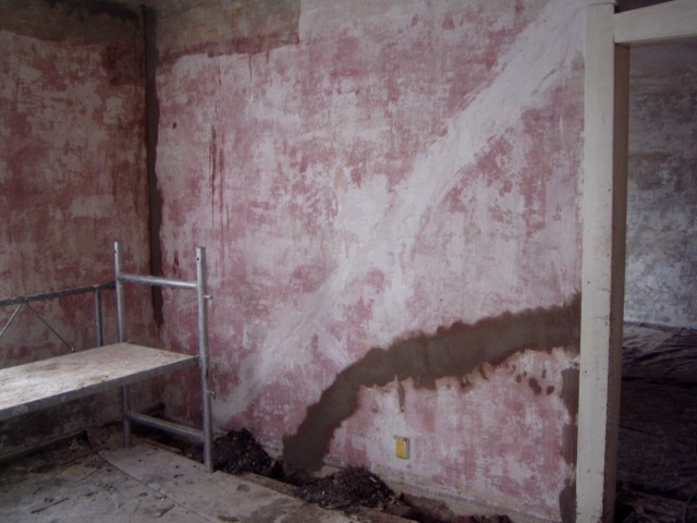 p6101449.jpg