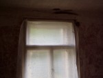 p6101450.jpg