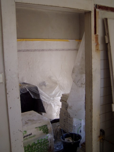 p6141461.jpg