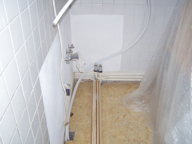 p6191500.jpg