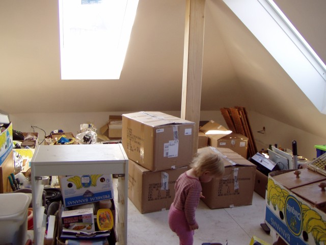 p6211515.jpg