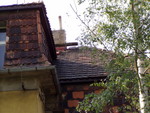 P6090406
