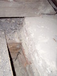 PA260009.JPG