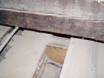 PA260013.JPG