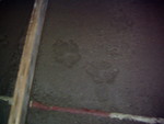 pb040010.jpg