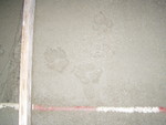 pb040011.jpg