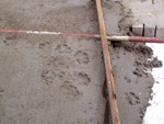pb050012.jpg