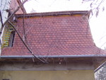 p1020146.jpg