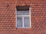 p1020150.jpg
