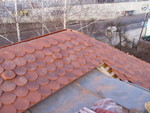 p1020156.jpg