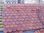 p1020158.jpg