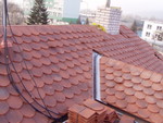 p1020159.jpg