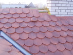 p1020163.jpg
