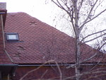p1020168.jpg