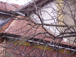 p1020172.jpg