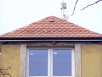 p1020174.jpg