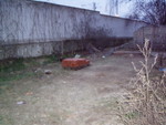 p1030187.jpg