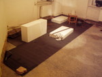p5300635