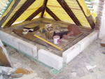 pa111053.jpg