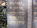 pa290335.jpg