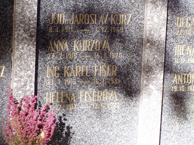 pa290337.jpg