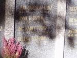 pa290337.jpg